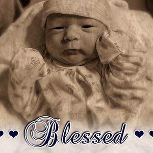 Meet your Posher, Donald